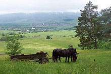 Kalnoky Manor, Transylvania - Romania. Romania - Distinctive, Boutique, Unique Hotels and Accommodations.