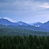 Carpathian Mountains - image by Amanda Lia Rogers
