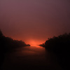 Amanda Lia Rogers - Danube Delta Sunrise