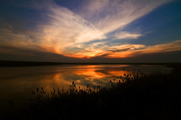 Danube Delta - image by Amanda Lia Rogers