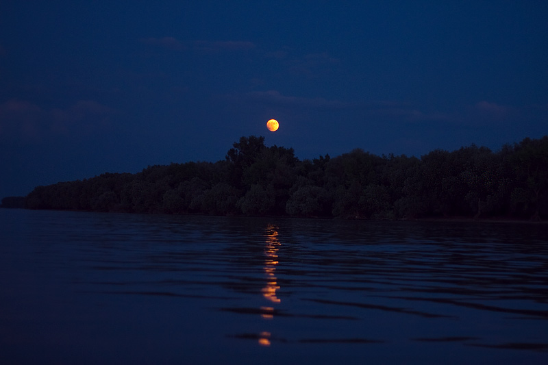 Danube Delta - image by Amanda Lia Rogers