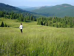 Apuseni Nature Park Romania