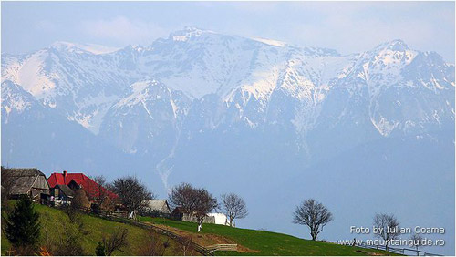 Carpathian Mountains Image