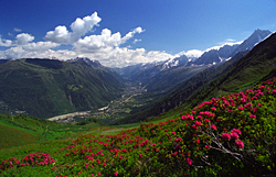 Beautiful Fagaras Mountains Romania