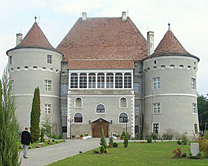 Cetatea de Balta Picture
