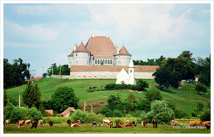 Cetatea De Balta