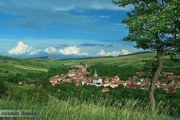 Darjiu - Transylvania, Romania Image