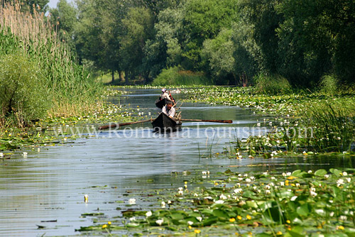 Danube Delta