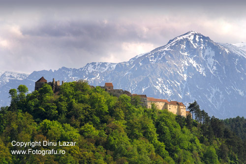 Rasnov Fortress - 
Transylvania, Romania Image