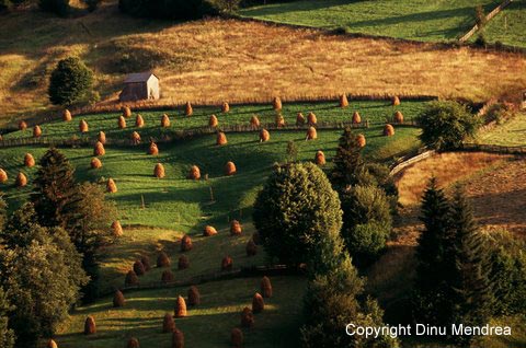 Bucovina - Humor Area, Romania Image