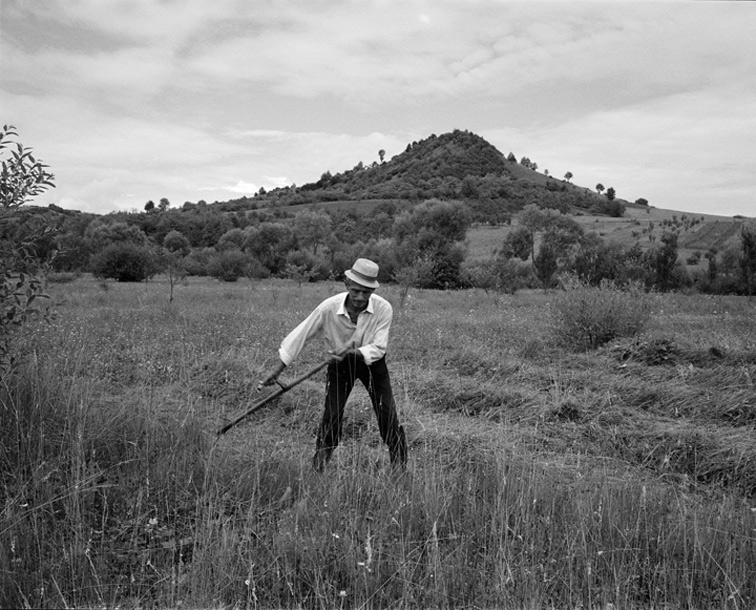 Maramures, Northern Romania - Hay Harvesting