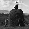 People of Maramures: Piling the Haystack 