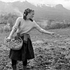People of Maramures: Sowing the Seeds - Potato Planting 