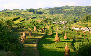 Maramures landscape