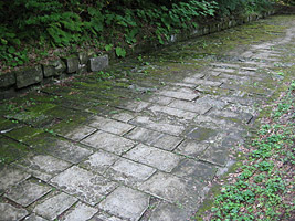 Paved Dacian Road