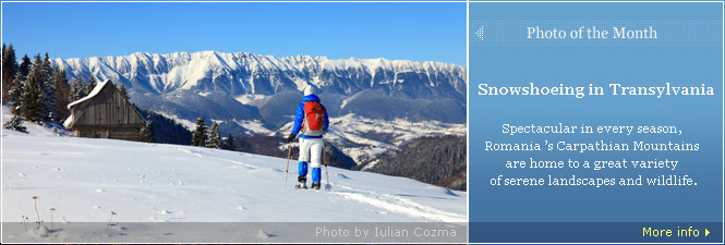 Snowshoeing in Transylvania