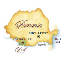 Segarcea