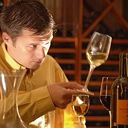 wine thibaut sommelier