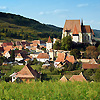 SANDU MENDREA - IMAGE