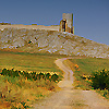 SANDU MENDREA - IMAGE