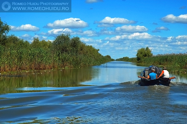 Danube Delta, ROMANIA