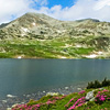 SANDU MENDREA - IMAGE