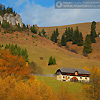 SANDU MENDREA - IMAGE