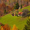 SANDU MENDREA - IMAGE