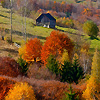 SANDU MENDREA - IMAGE