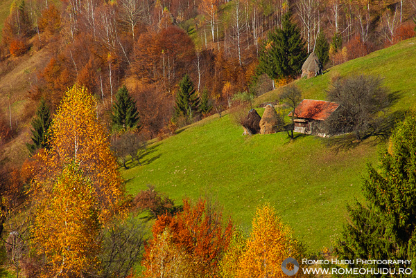 AUTUMN IN THE ROMANIAN CARPATHIAN MOUNTAINS - RUCAR-BRAN PASS