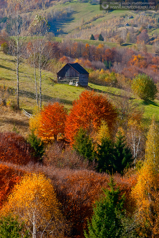 AUTUMN IN THE ROMANIAN CARPATHIAN MOUNTAINS - RUCAR-BRAN PASS