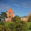 SANDU MENDREA - IMAGE