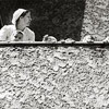 SANDU MENDREA - IMAGE