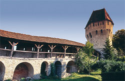 Sighisoara Tour