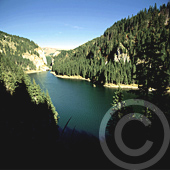 Carpathian Mountains - Bolboci
