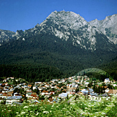 Carpathian Mountains - Busteni