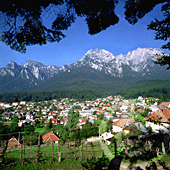 Carpathian Mountains - Busteni
