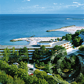 Black Sea - Olimp