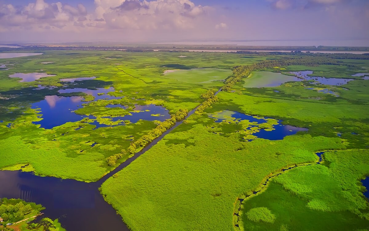 Danube Delta view