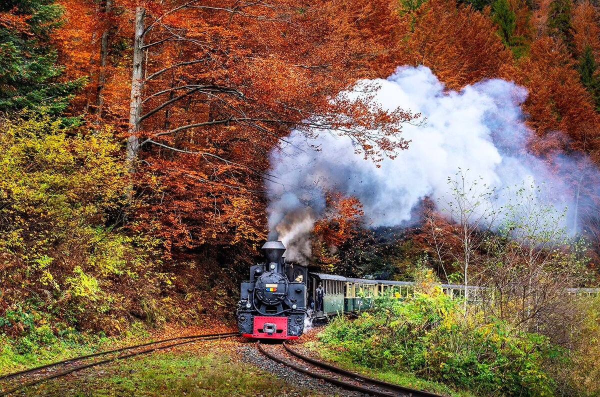 Mocanita-Schmalspurbahn in den Maramures-Bergen