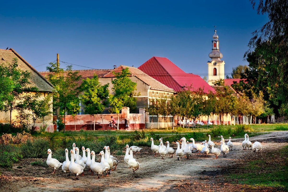 Romania - village - main - street