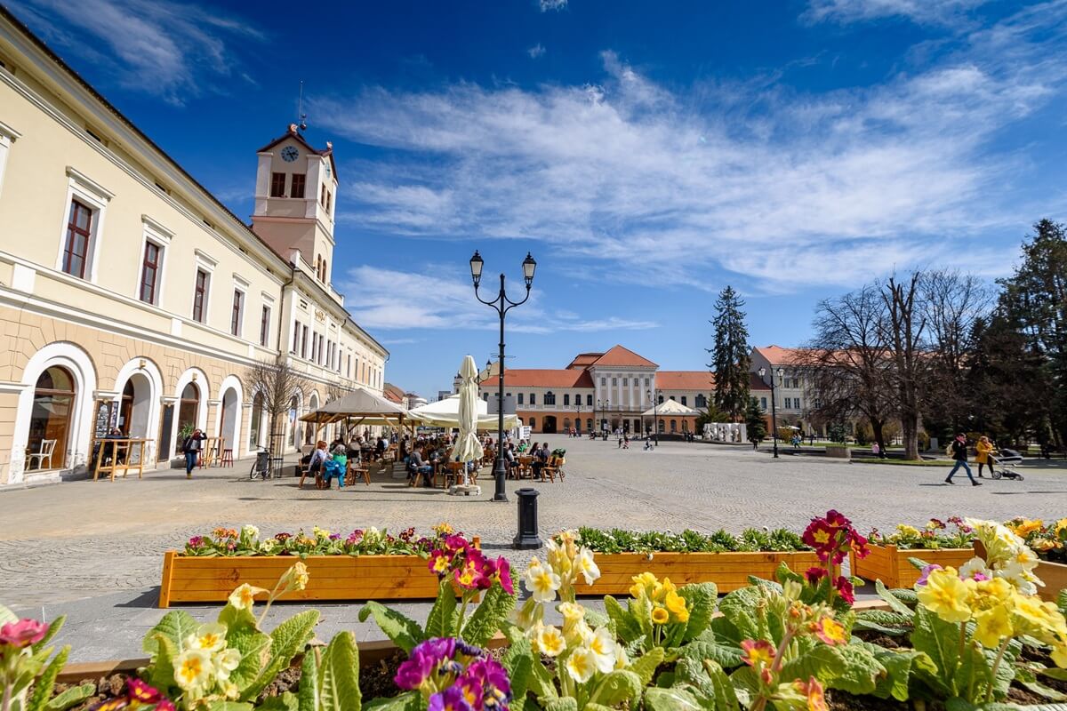sfantu gheorghe Hauptplatz